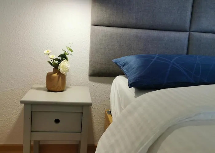Elbblick Mit Grosser Dachterrasse Und Tiefgarage Drážďany