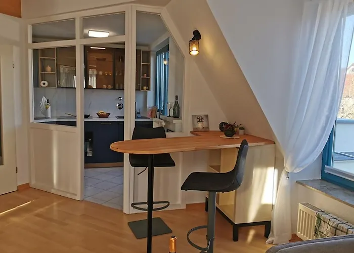 Elbblick Mit Grosser Dachterrasse Und Tiefgarage Δρέσδη
