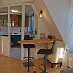 Elbblick Mit Grosser Dachterrasse Und Tiefgarage Dresden