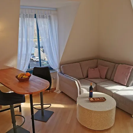 Apartment Elbblick Mit Grosser Dachterrasse Und Tiefgarage Dresden