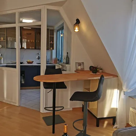 Elbblick Mit Grosser Dachterrasse Und Tiefgarage Dresden