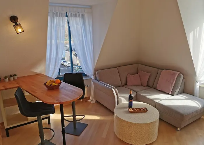 Apartment Elbblick Mit Grosser Dachterrasse Und Tiefgarage Dresden
