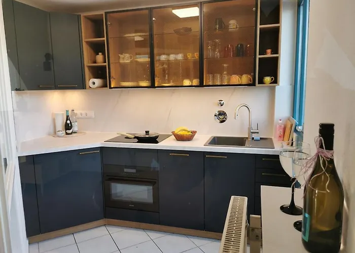 Elbblick Mit Grosser Dachterrasse Und Tiefgarage Apartment Dresden