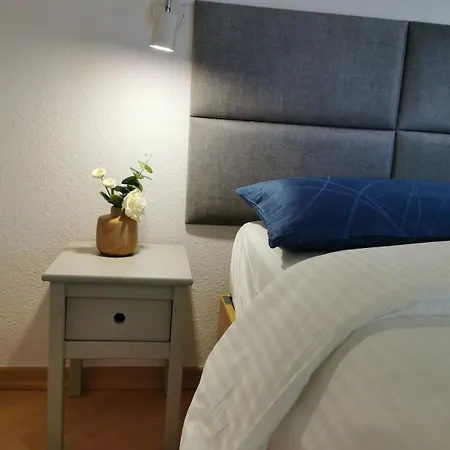 Elbblick Mit Dachterrasse Und Tiefgarage Dresden