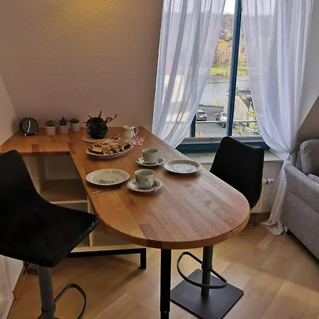Apartment Elbblick Mit Dachterrasse Und Tiefgarage Dresden