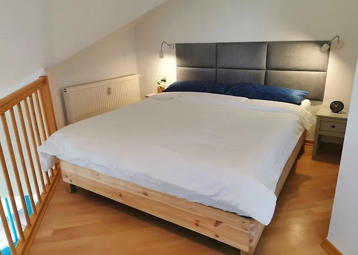Elbblick Mit Grosser Dachterrasse Und Tiefgarage דירה דרזדן